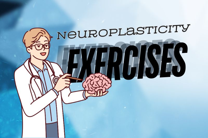 Effective Neuroplasticity Exercises to Enhance Your Brain