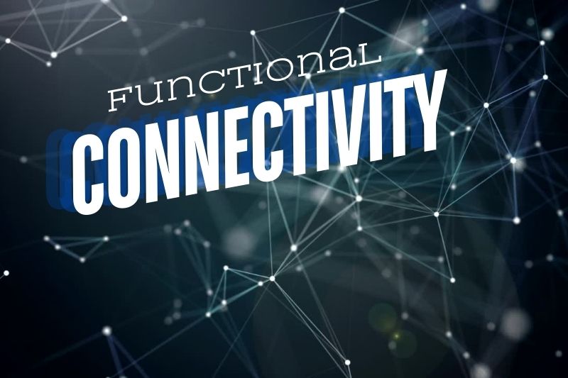 Functional Connectivity