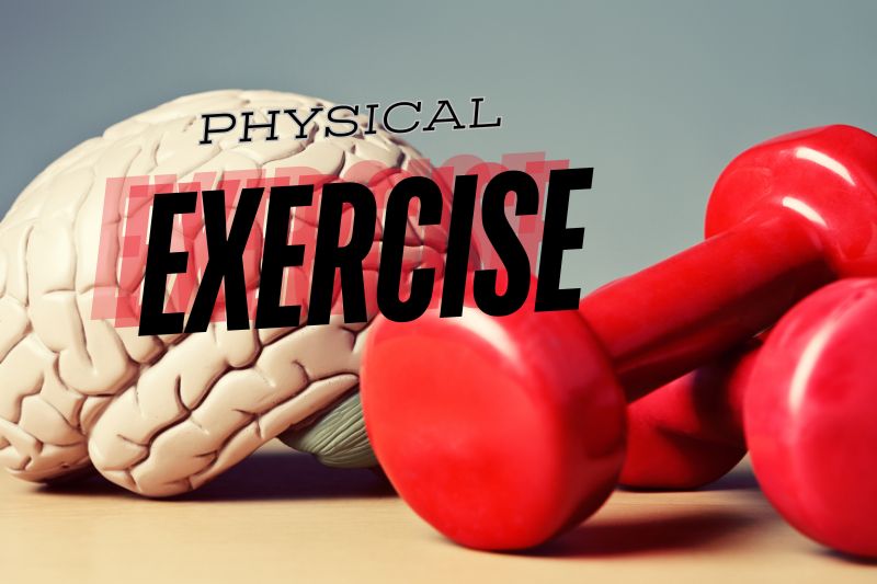 Physical Exercise